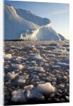Icebergs in Disko Bay in Greenland by Anonymous
