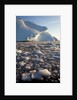 Icebergs in Disko Bay in Greenland by Anonymous