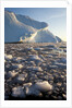 Icebergs in Disko Bay in Greenland by Anonymous