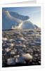 Icebergs in Disko Bay in Greenland by Anonymous