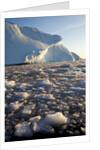 Icebergs in Disko Bay in Greenland by Anonymous