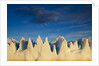 Jagged icebergs in Disko Bay in Greenland by Anonymous