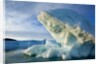 Icebergs in Disko Bay in Greenland by Anonymous