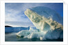 Icebergs in Disko Bay in Greenland by Anonymous