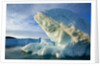 Icebergs in Disko Bay in Greenland by Anonymous