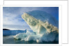 Icebergs in Disko Bay in Greenland by Anonymous