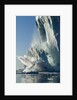 Calving iceberg in Disko Bay in Greenland by Anonymous
