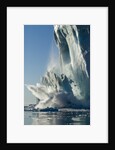 Calving iceberg in Disko Bay in Greenland by Anonymous