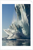 Calving iceberg in Disko Bay in Greenland by Anonymous