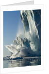 Calving iceberg in Disko Bay in Greenland by Anonymous