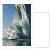 Calving iceberg in Disko Bay in Greenland by Anonymous