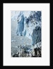 Face of Eqip Glacier on Disko Bay in Greenland by Anonymous