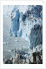 Face of Eqip Glacier on Disko Bay in Greenland by Anonymous