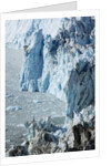 Face of Eqip Glacier on Disko Bay in Greenland by Anonymous