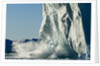 Calving iceberg in Disko Bay in Greenland by Anonymous