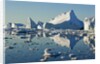Iceberg and bergy bits in Disko Bay in Greenland by Anonymous