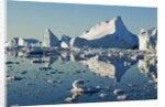 Iceberg and bergy bits in Disko Bay in Greenland by Anonymous