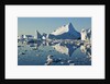 Iceberg and bergy bits in Disko Bay in Greenland by Anonymous