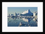 Iceberg and bergy bits in Disko Bay in Greenland by Anonymous