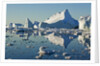 Iceberg and bergy bits in Disko Bay in Greenland by Anonymous