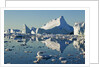 Iceberg and bergy bits in Disko Bay in Greenland by Anonymous