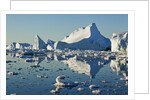 Iceberg and bergy bits in Disko Bay in Greenland by Anonymous