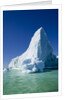 Iceberg in Disko Bay in Greenland by Anonymous