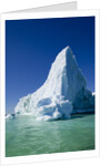 Iceberg in Disko Bay in Greenland by Anonymous