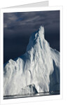 Icebergs in Disko Bay by Anonymous