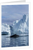 Humpback Whale in Disko Bay in Greenland by Anonymous