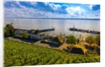 Vineyards, the medieval city of Meersburg on Lake Constance (Bodensee), Baden-W?rttemberg, Germany by Anonymous