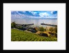 Vineyards, the medieval city of Meersburg on Lake Constance (Bodensee), Baden-W?rttemberg, Germany by Anonymous