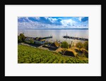 Vineyards, the medieval city of Meersburg on Lake Constance (Bodensee), Baden-W?rttemberg, Germany by Anonymous