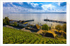 Vineyards, the medieval city of Meersburg on Lake Constance (Bodensee), Baden-W?rttemberg, Germany by Anonymous