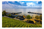 Vineyards, the medieval city of Meersburg on Lake Constance (Bodensee), Baden-W?rttemberg, Germany by Anonymous