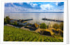 Vineyards, the medieval city of Meersburg on Lake Constance (Bodensee), Baden-W?rttemberg, Germany by Anonymous