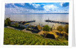 Vineyards, the medieval city of Meersburg on Lake Constance (Bodensee), Baden-W?rttemberg, Germany by Anonymous
