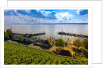 Vineyards, the medieval city of Meersburg on Lake Constance (Bodensee), Baden-W?rttemberg, Germany by Anonymous