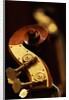 Double bass headstock by Anonymous