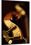 Double bass headstock by Anonymous