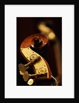 Double bass headstock by Anonymous