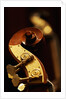 Double bass headstock by Anonymous