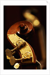 Double bass headstock by Anonymous
