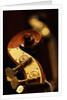 Double bass headstock by Anonymous