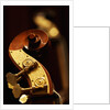 Double bass headstock by Anonymous