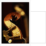 Double bass headstock by Anonymous