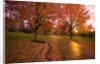 Sunset in autumn along a country road by Anonymous