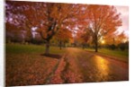 Sunset in autumn along a country road by Anonymous