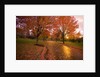 Sunset in autumn along a country road by Anonymous