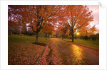 Sunset in autumn along a country road by Anonymous